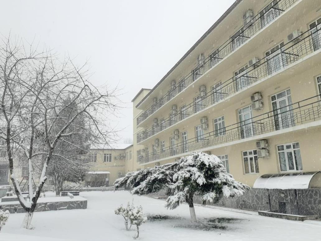 Gabala Hotel Dasca Экстерьер фото
